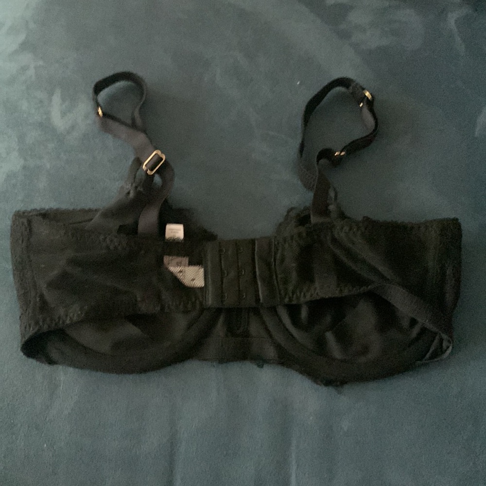 Mesh Bra - Picture 2 of 3